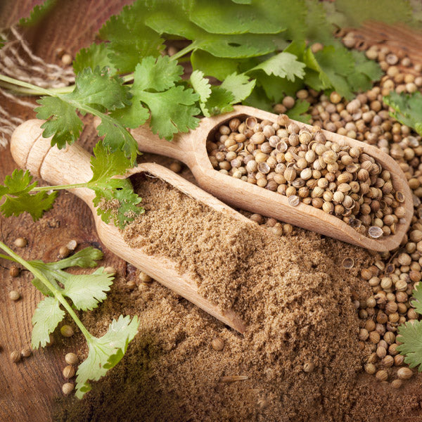 Coriander Powder (MOQ 10,000 Kgs)