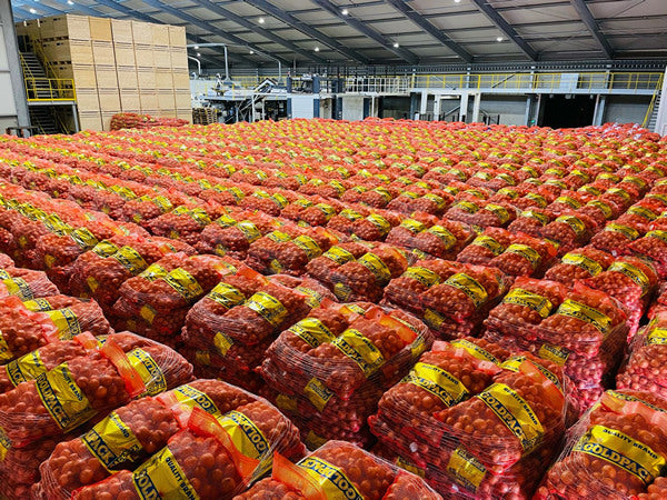 Agrifound Rose Onion (MOQ 10,000 Kgs)