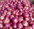 Agrifound Rose Onion (MOQ 10,000 Kgs)