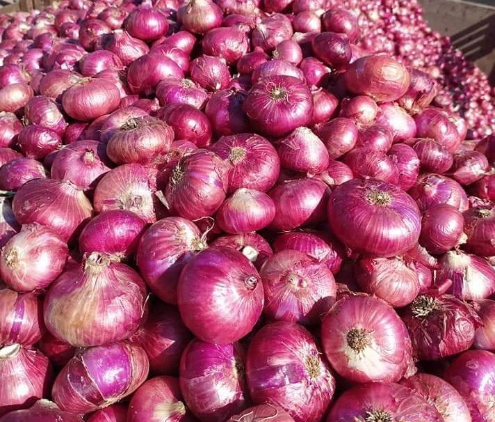 Agrifound Rose Onion (MOQ 10,000 Kgs)