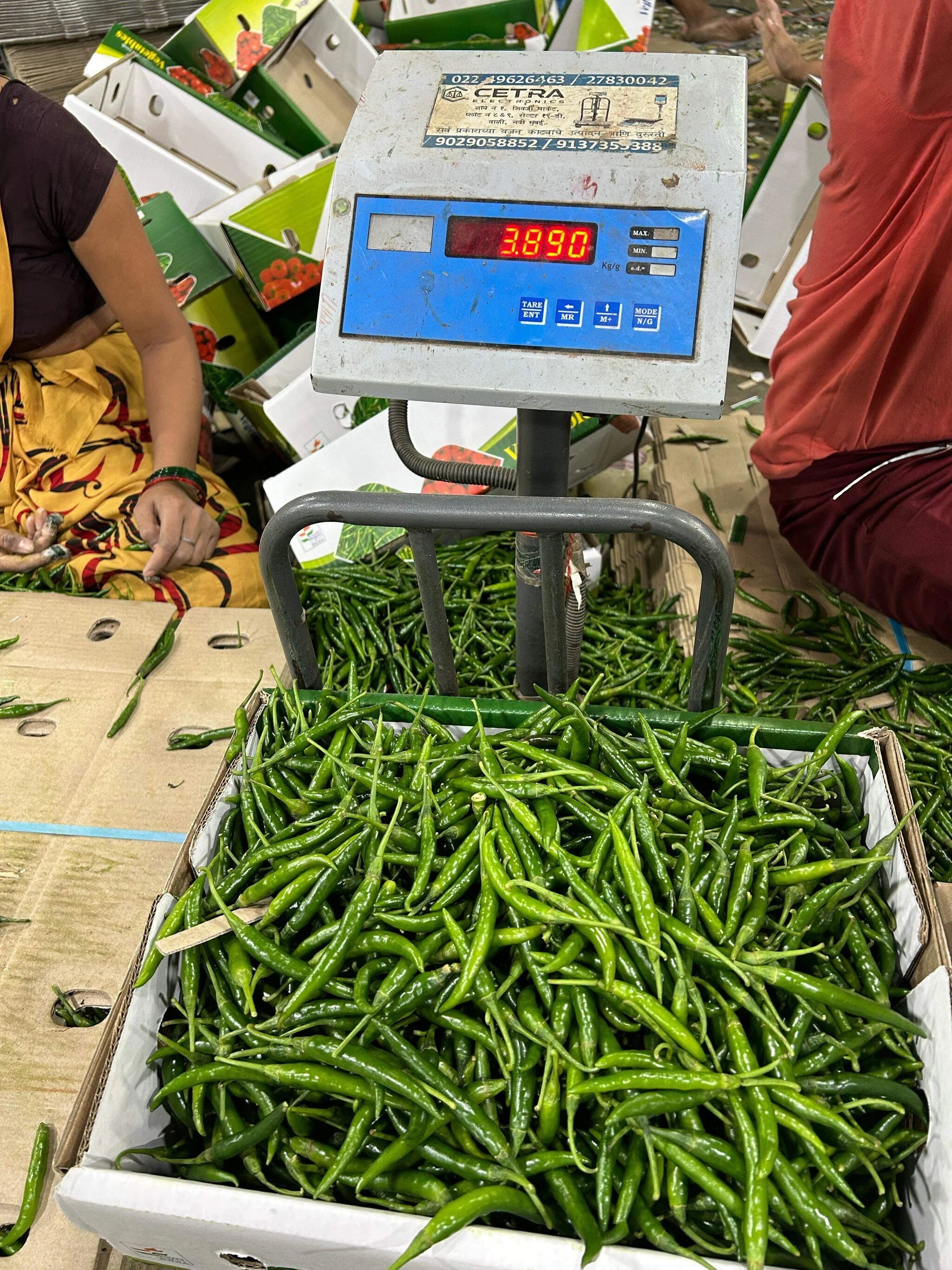 Green Chilly G4 (MOQ 10,000 Kgs)