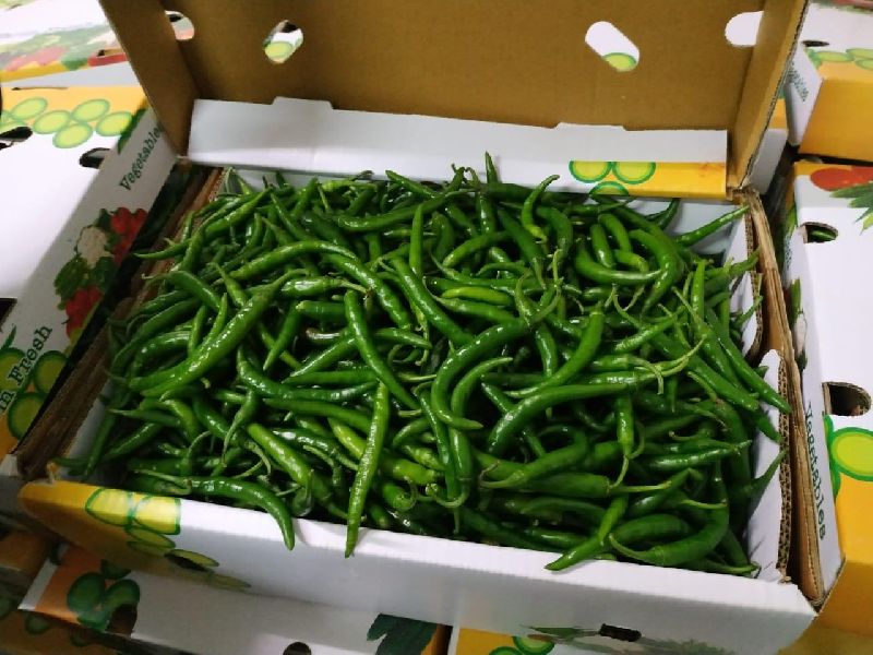 Green Chilly G4 (MOQ 10,000 Kgs)