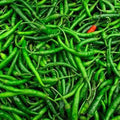 Green Chilly G4 (MOQ 10,000 Kgs)