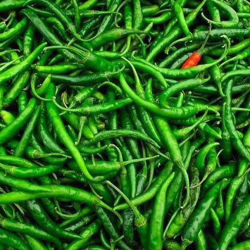 Green Chilly G4 (MOQ 10,000 Kgs)