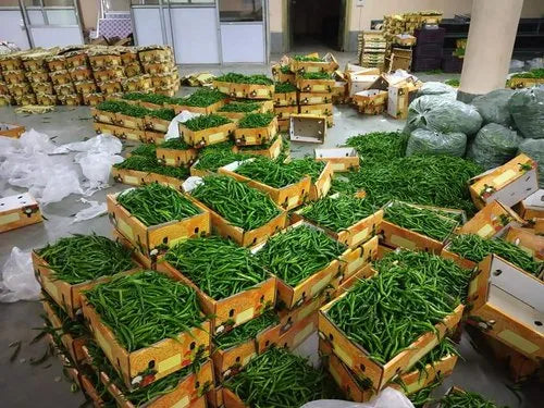 Green Chilly G4 (MOQ 10,000 Kgs)